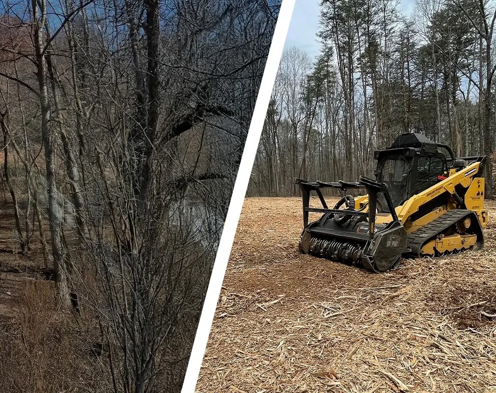 Land Clearing vs Forestry Mulching